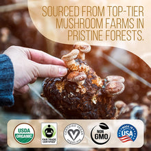 Load image into Gallery viewer, Organic Ground Coffee + Super 7 Mushroom