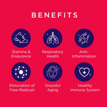 Load image into Gallery viewer, 100% Cordyceps Mushroom Powder 32 capsules - Cordeey