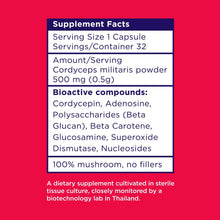 Load image into Gallery viewer, 100% Cordyceps Mushroom Powder 32 capsules - Cordeey
